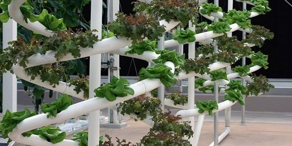 hydroponic-garden-ideas-space-saving-ideas-small-garden-ideas