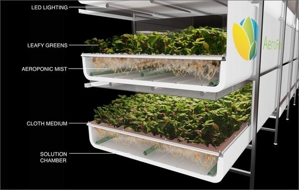 indoor-hydroponic-systems-aeroponic-home-garden-high-tech-garden
