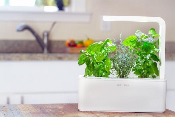 indoor-hydroponic-systems-mini-herb-garden-kitchen-garden