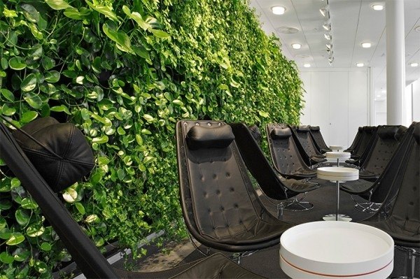 indoor-garden-contemporary-office-design-ideas