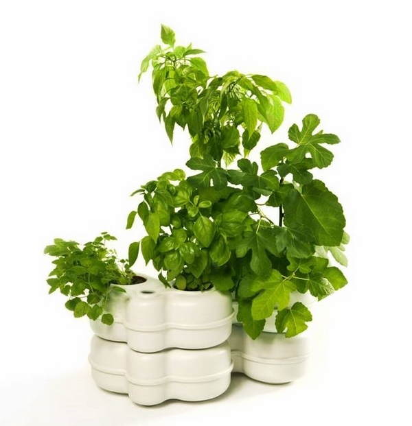mini-garden-ideas-herb-garden-indoor-garden-ideas-hydroponic-herbs