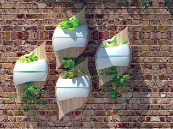 modern-indoor-hydroponic-systems-designs-home-garden-ideas