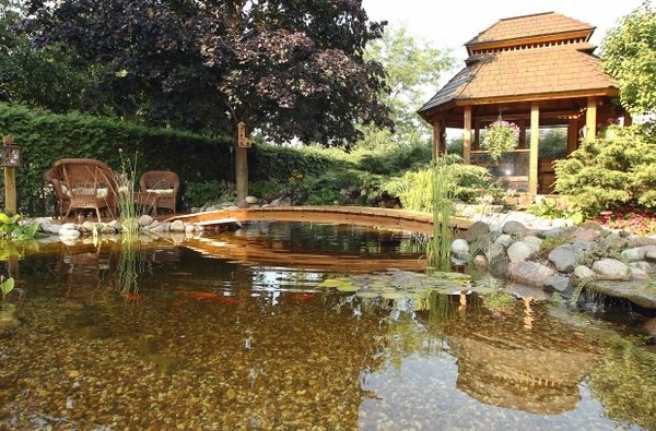 peaceful backyard oasis garden pond gazebo bridge