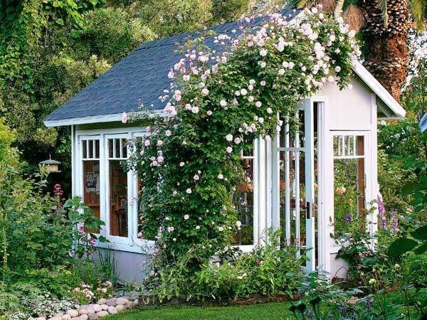 small house garden ideas climbing roses