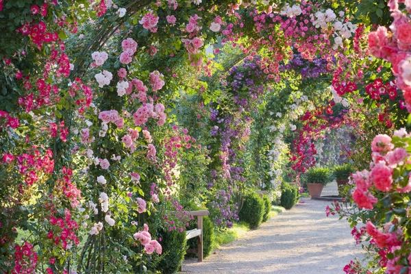 spectacular-rose-gardens-designs-arch-of-roses