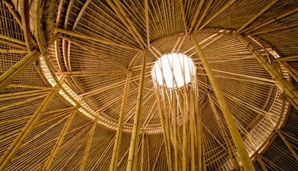 spiral ceiling design bamboo buildings ideas natural materials