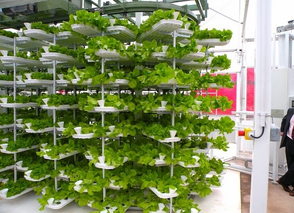 vertical-garden-vegetable-garden-hydroponic-garden-ideas