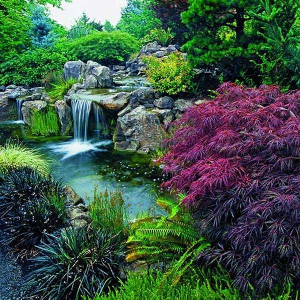 waterfall oasis backyard landscape ideas plants ideas