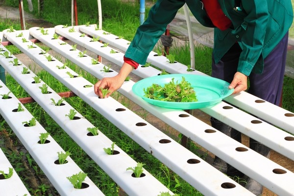 what-is-hydroponics-methods-modern-gardening-ideas