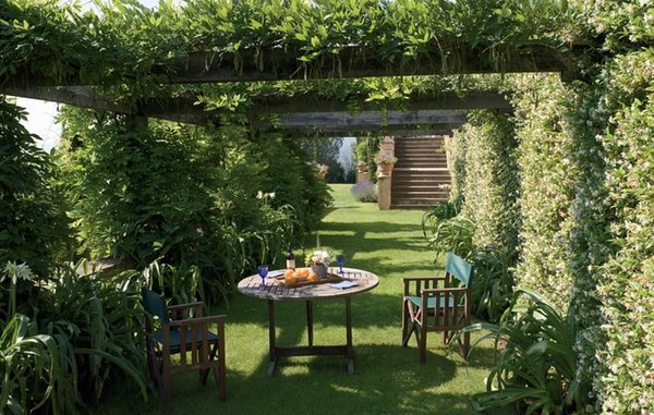 Backyard patio ideas pergola climbing plants