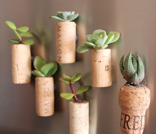 DIY-upcycling-ideas-cork planter diy easy crafts