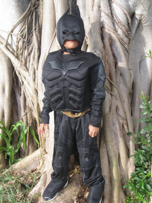 cool costumes for boys batman superhero costumes