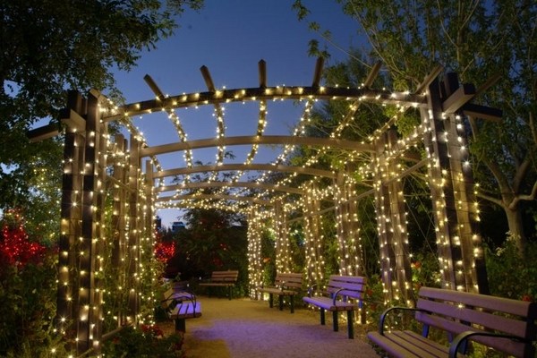 Image of String lights garden decoration