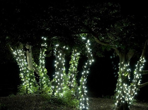 LED-landscape-lighting-trees-decorated-with-LED-lamps