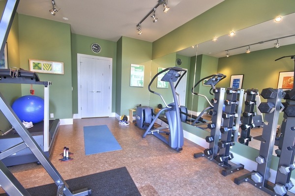 home gym design cork flooring green wall color