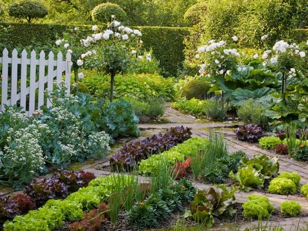 vegetable herb garden backyard ideas design landscape trends