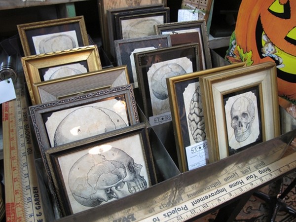 vintage-halloween-decorations-antique-picture-frames-skull-pictures