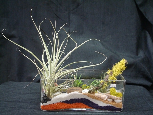 rectangular terrarium colorful sand 