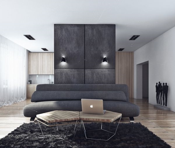 Awesome minimalist contemporary sofa shaggy rug wood flooring