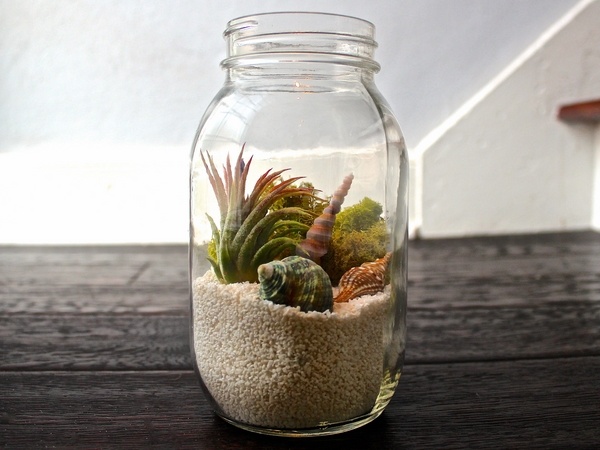 DIY Mason jar terrarium ideas sea shells