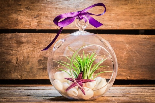 DIY housewarming gift ideas terrarium glass orb