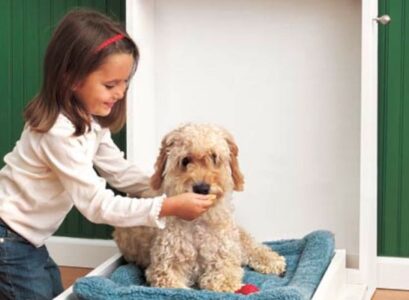 DIY-muphy-bed-creative-pet-bed-ideas