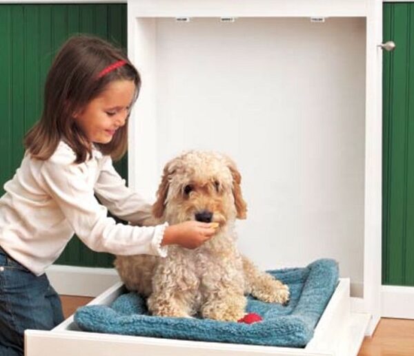 DIY-muphy-bed-creative-pet-bed-ideas