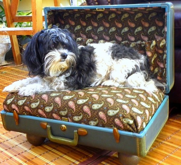 DIY pet bed upcycling ideas old suitcase