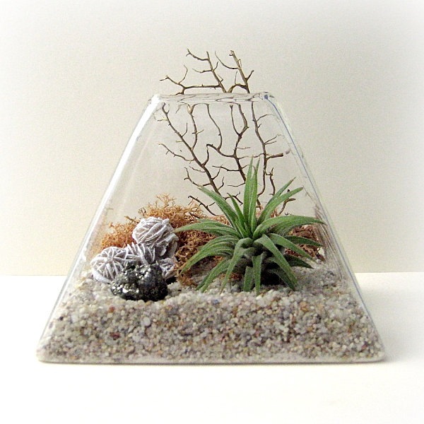 Pyramid plant terrarium original design ideas