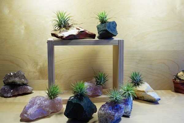plant containers ideas natural materials crystal rocks