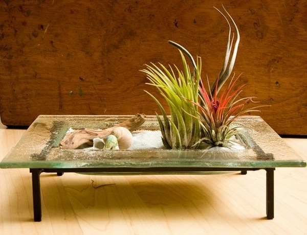 awesome decoration ideas coffee table driftwood 