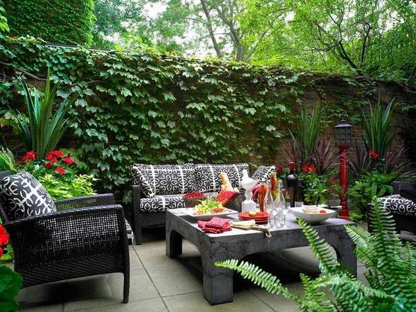 awesome backyard design ideas stone wall ivy 