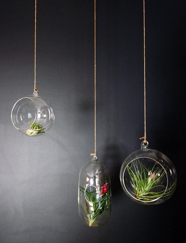 cute hanging terrarium ideas glass terrarium balls