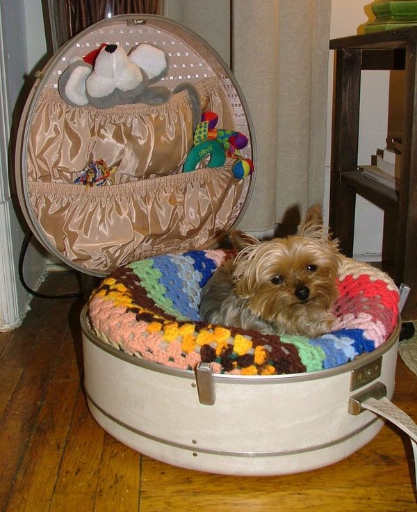 cute pet bed hat box upcycling ideas 