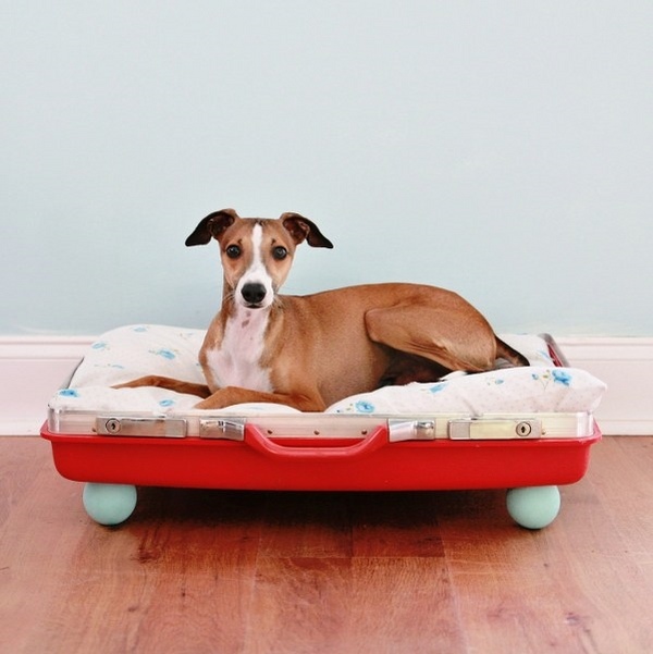 easy DIY pet bed ideas upcycling ideas old suitcase