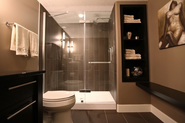 Basement Bathroom Ideas Add Value To, Basement Bathroom Designs