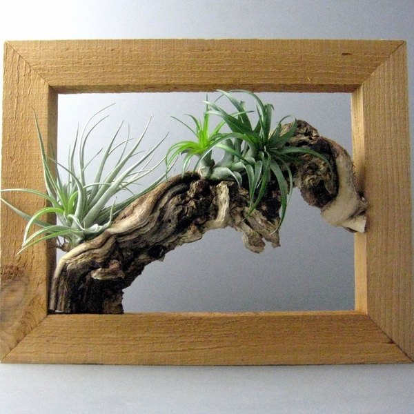 gorgeous decoration ideas wooden frame driftwood
