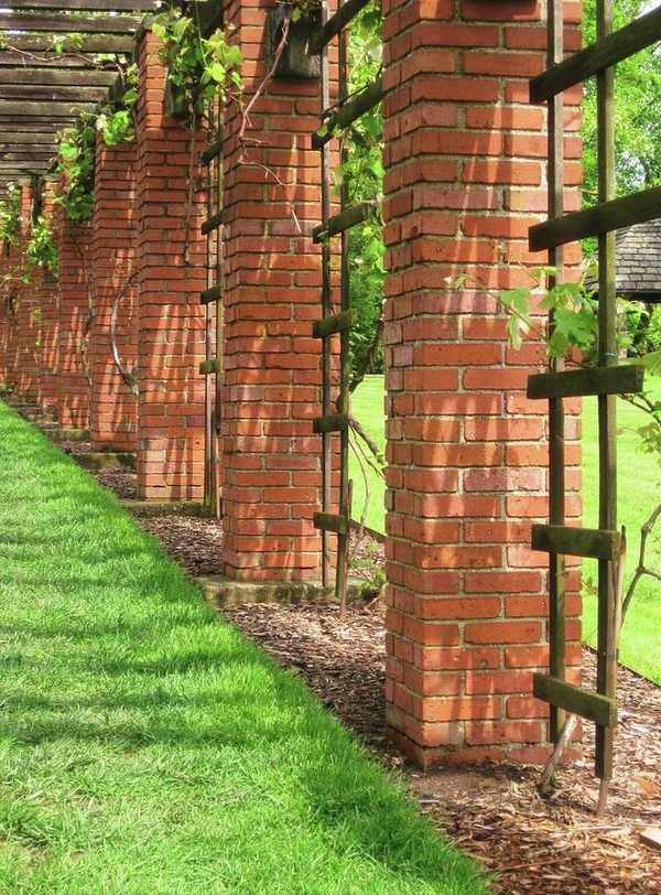 grape trellis arbor ideas garden path ideas backyard landscape