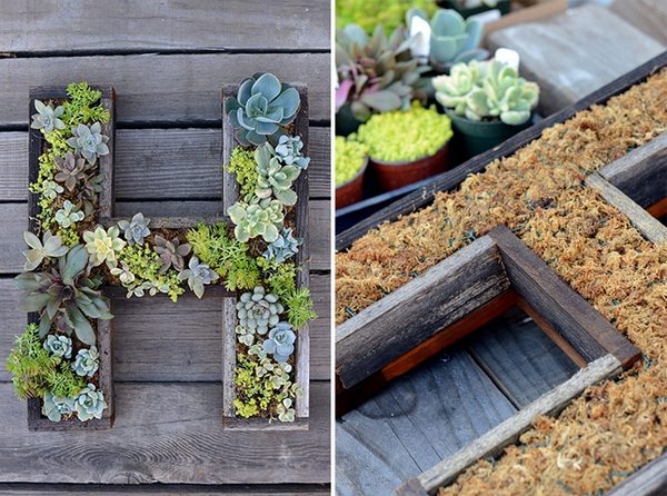 planter DIY ideas wooden letters succulents