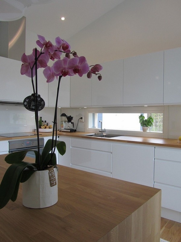 modern kitchen white cabinets oak countertop oak kitchen island