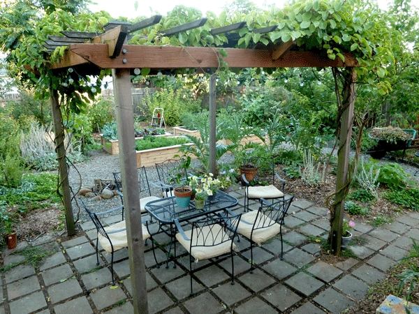 patio design ideas wooden pergola grapevines sun protection outdoor furniture