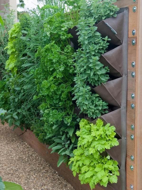 pocket planters living wall planter ideas vertical garden herb garden