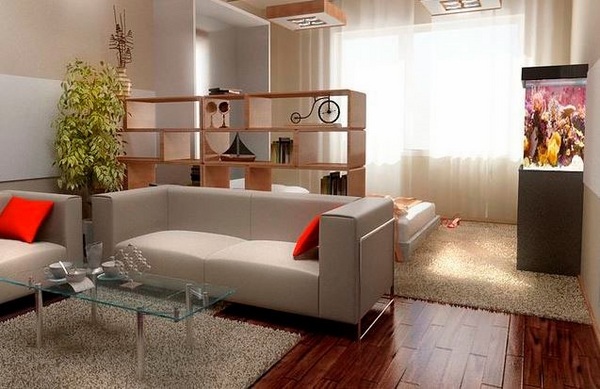 studio apartment ideas wood floor area rugs partition wall