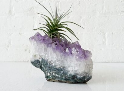 unique-air-plant-containers-ideas-air-plant-display-crystal-rock