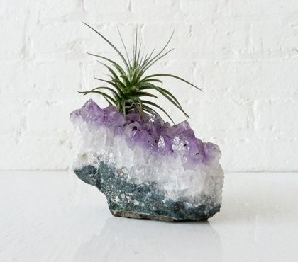 unique-air-plant-containers-ideas-air-plant-display-crystal-rock