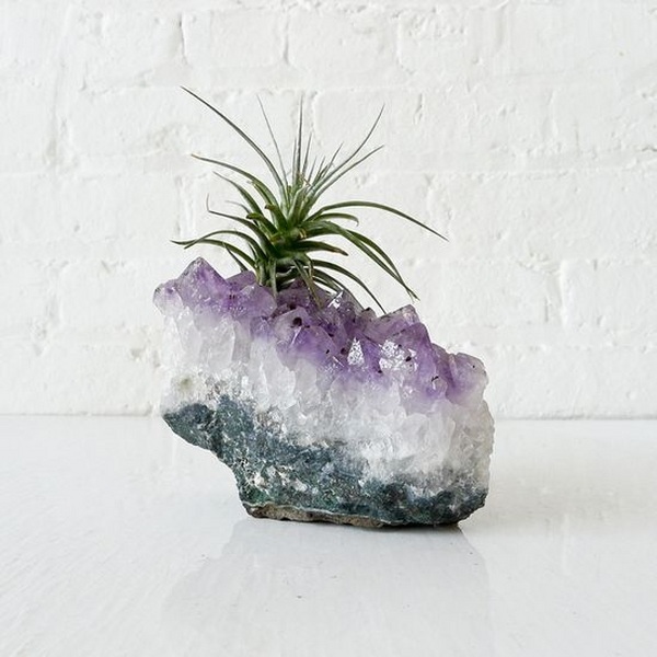  plant containers ideas air display crystal rock