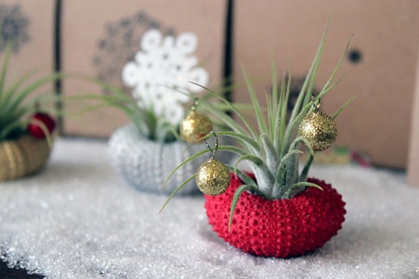 unique diy gifts ideas airplant container sea urchin red white colors