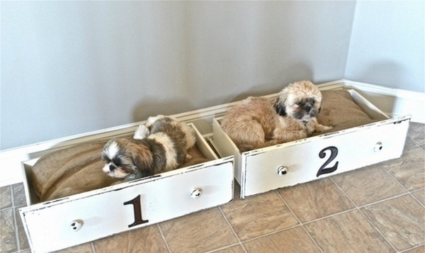 upcycling furniture ideas drawers pet beds