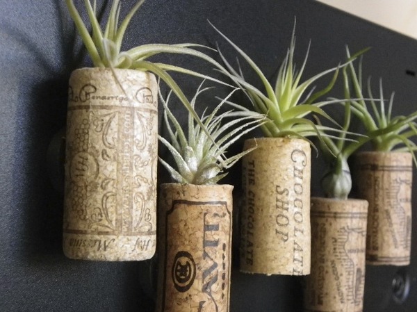 wine corks plant containers DIY ideas 