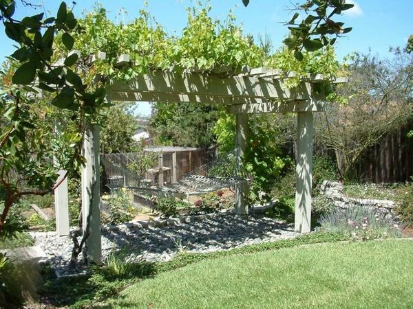 wooden pergola grapevines support hammock backyard retreat